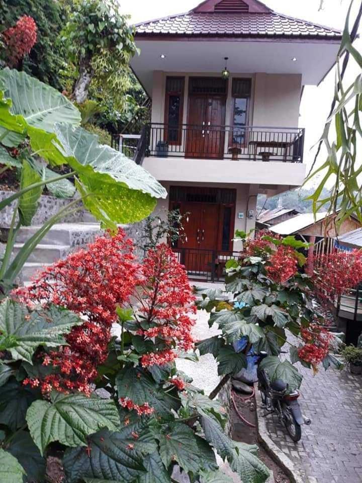 Bukit Lawang Hotel Ngoại thất bức ảnh